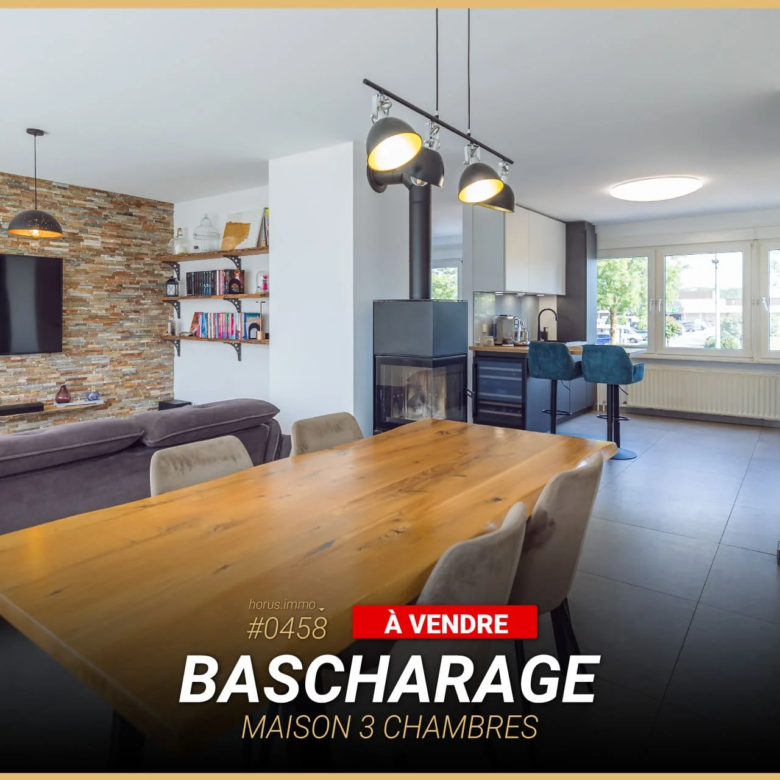 Maison 3 chambres à Bascharage #0458